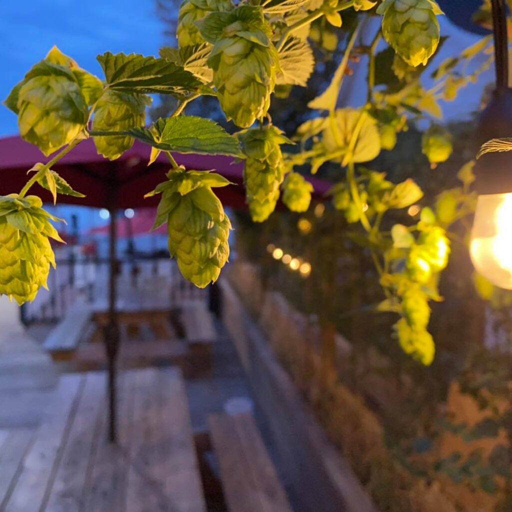 Pour sortir de la ville