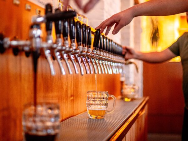 Résolutions brassicoles